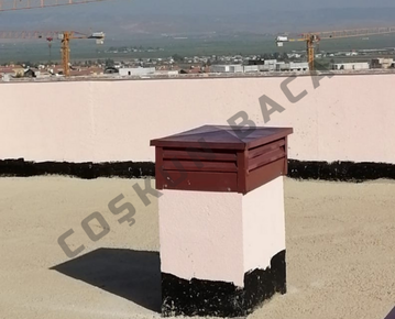 Blog Resim